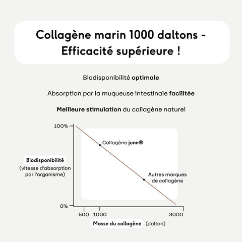 Marine Collagen Type 1 - 90 Capsules